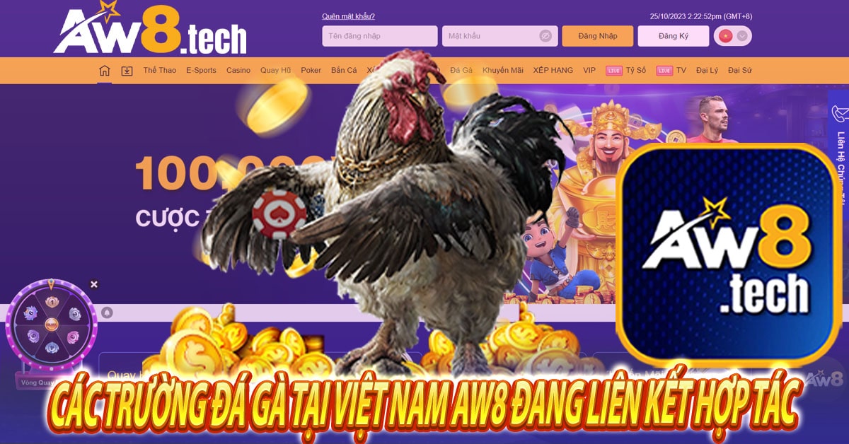 Các trường đá gà tại Việt Nam Aw8 đang liên kết hợp tác 